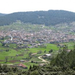 krania4