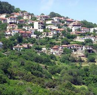 rapsani1