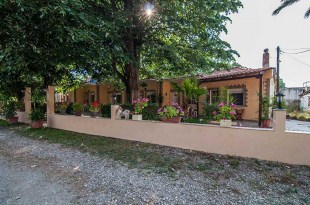batsikakaterina1