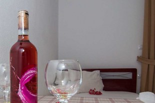 didinoskos4