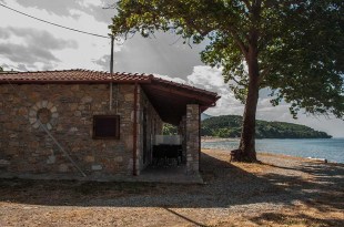didinosnik3