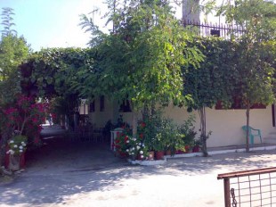 sotiroulisan1